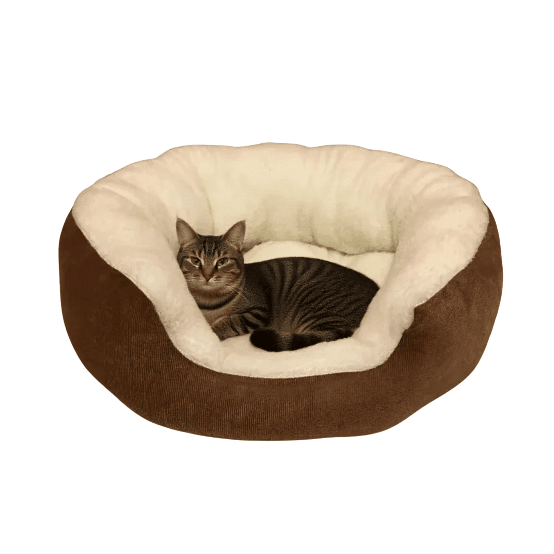 Orthopädisches Plüschbett mit Rückenlehne – Gelenkschonendes Haustiersofa für Katzen & Hunde - fellfunk.de