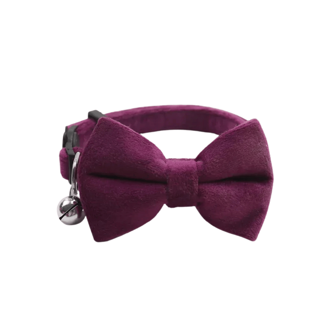 Fellfunk Samt - Halsband mit Schleife – Verstellbares Katzenhalsband mit Sicherheitsverschluss & Glöckchen für stilvolle Stubentiger - fellfunk.de