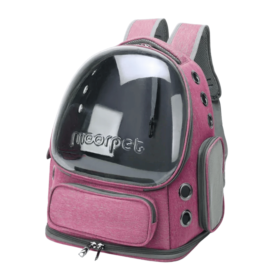 Katzenrucksack Transparent – Belüftete Reisetasche für Katzen & kleine Haustiere - fellfunk.de