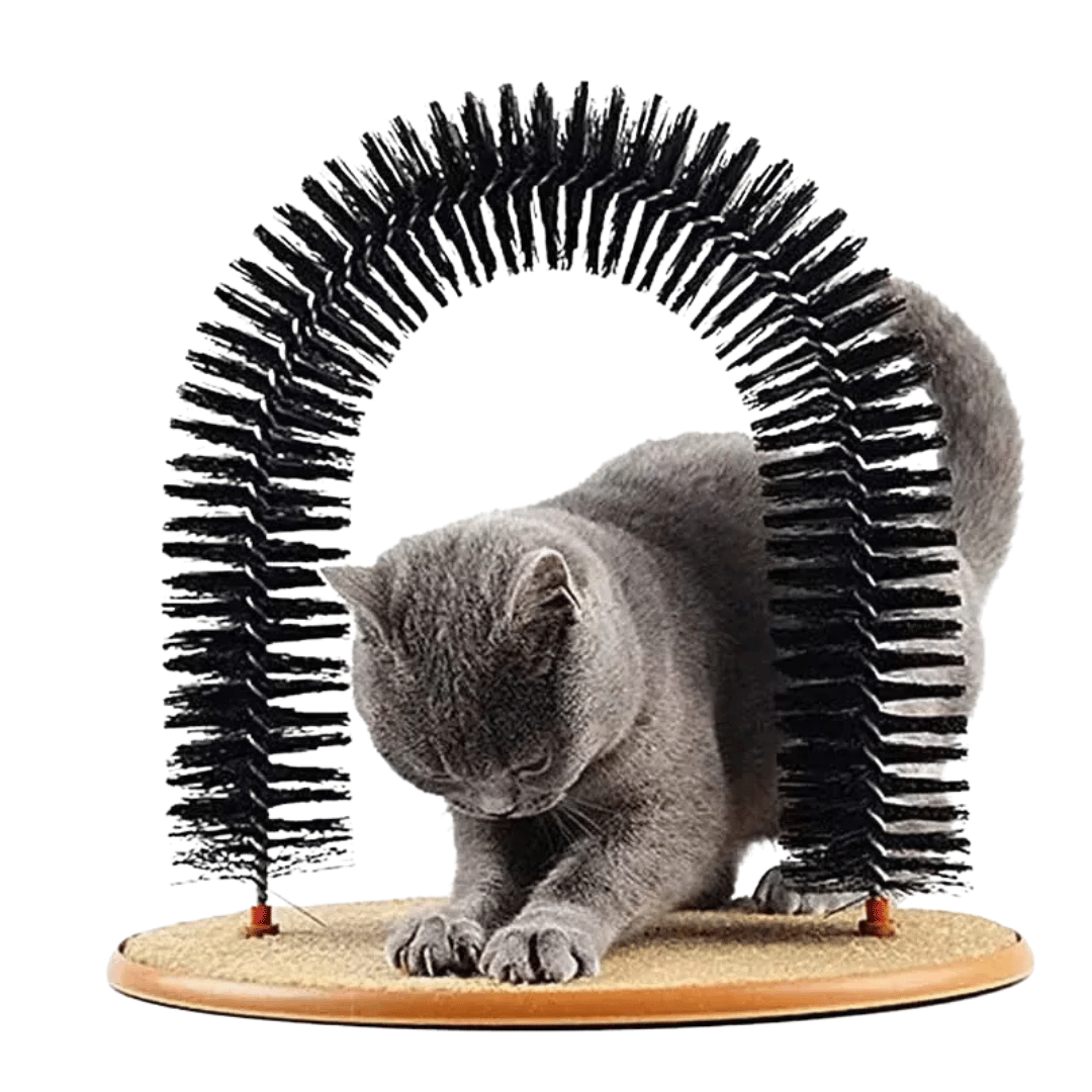 FellFunk Katzenbogen mit Massagebürste – Selbst - Grooming Spielzeug mit Kratzpad, Massage & Fellpflege in einem - fellfunk.de
