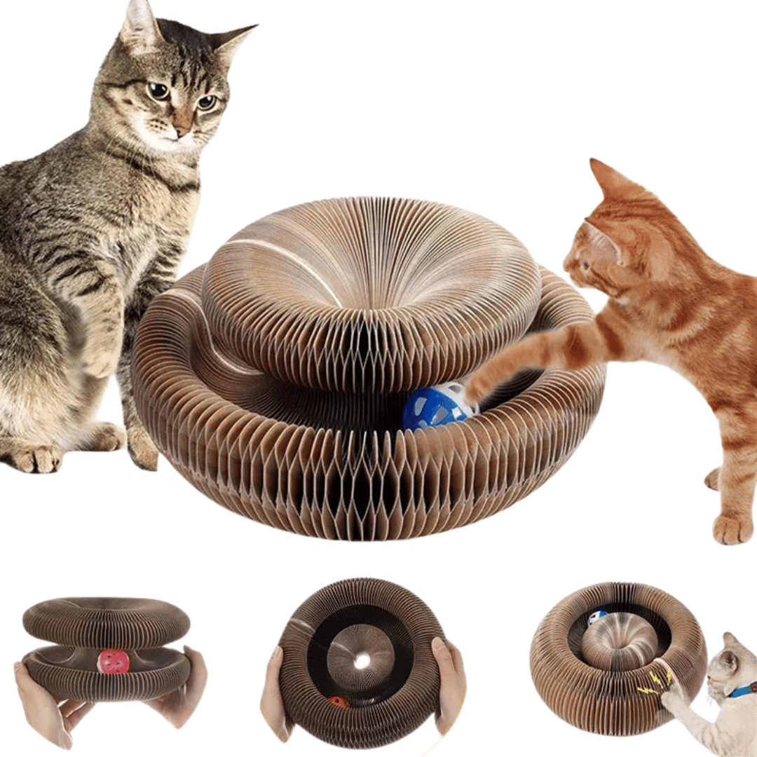 Kratzbrett „Spin & Scratch“ – 2 - in - 1 Katzen - Spielzeug mit Kratzfläche & integrierter Ballbahn für aktives Spielen & Krallenpflege - fellfunk.de