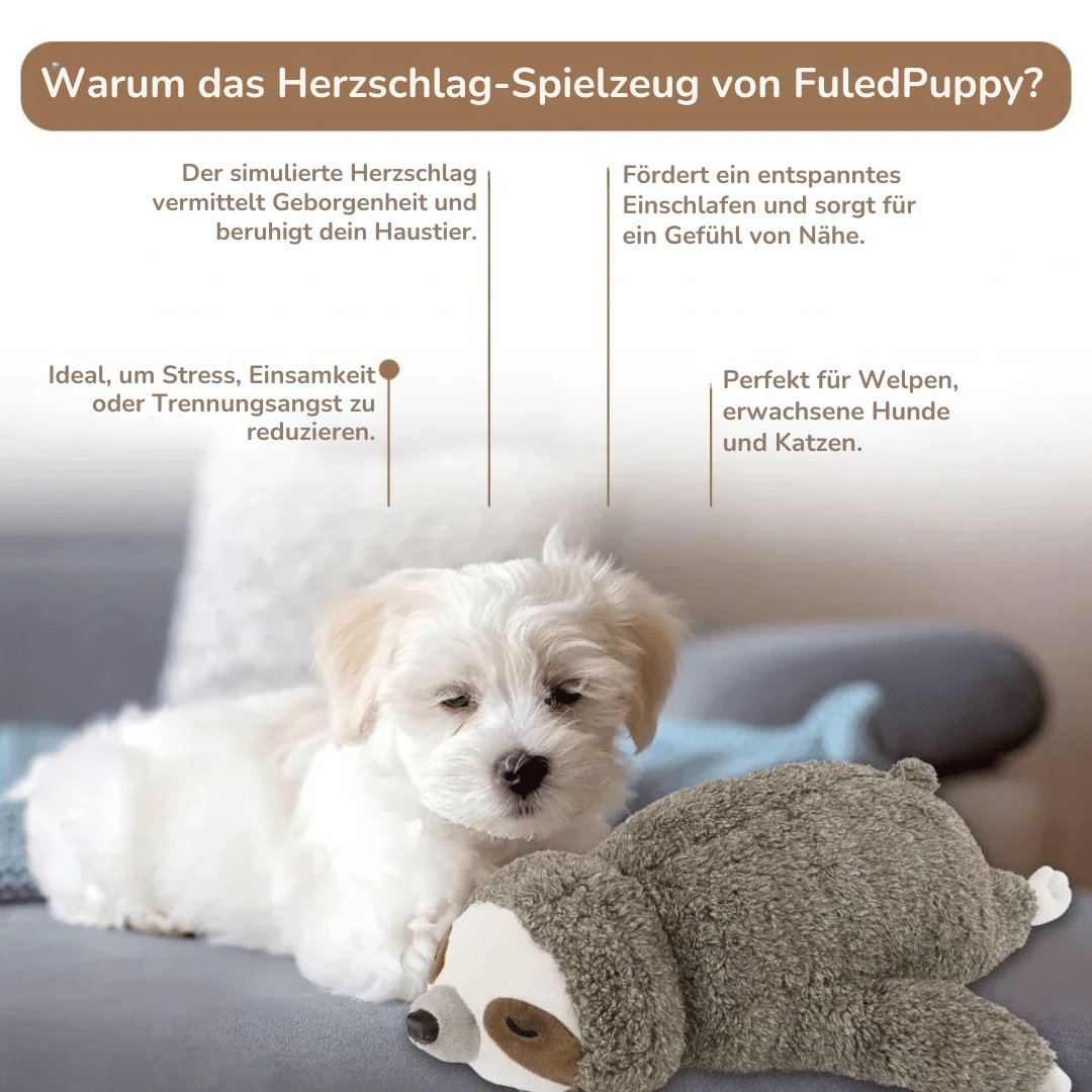 Welpenspielzeug mit Herzschlag – Beruhigendes Faultier Kuscheltier als Weihnachtsgeschenk - fellfunk.de