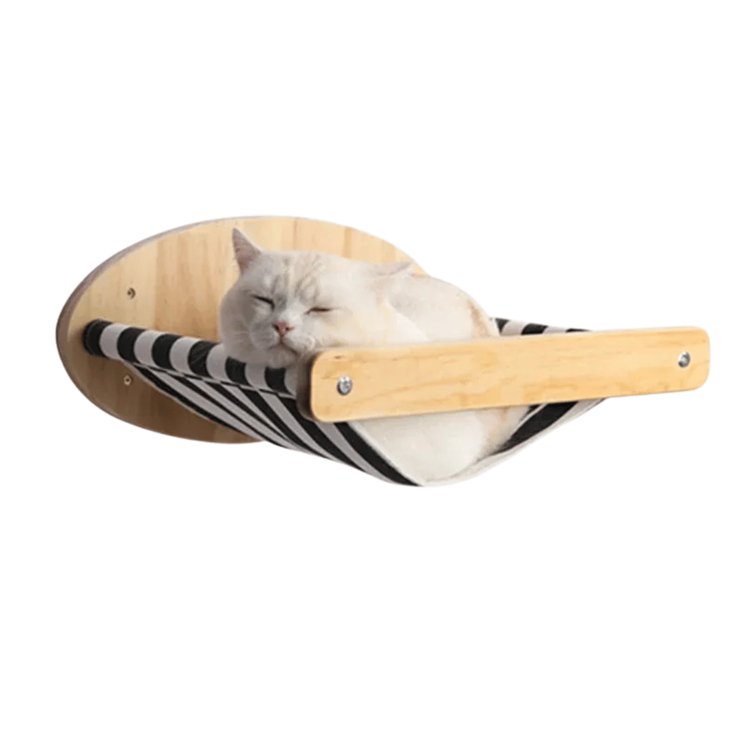 FellFunk Wand - Katzenbaum – Wandregale mit Kratzstamm, Hängematte, Kletterplattform & Seilleiter aus Holz - fellfunk.de