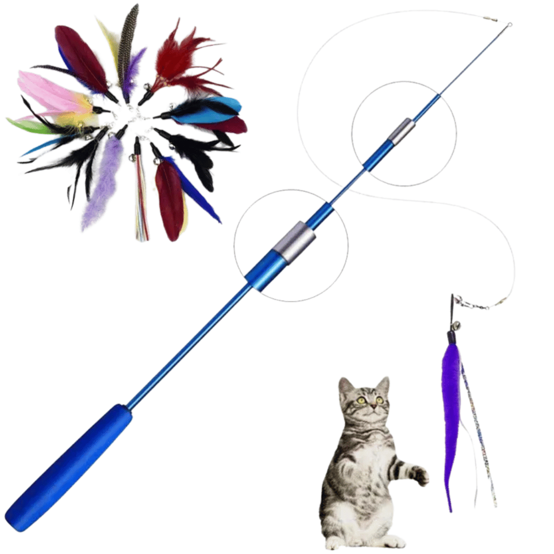Teleskop-Katzenangel: 3-Segment-Spielstab für interaktives Katzenspiel & Training