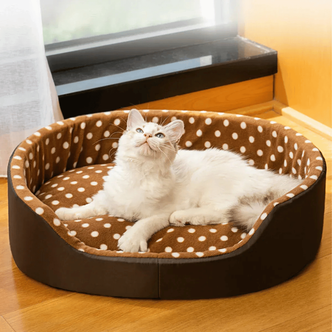 Punkte - Katzenbett – Weiches Haustierbett mit Kissen, ideal für Katzen & kleine Hunde, gemütlicher Schlafplatz & modernes Design - fellfunk.de