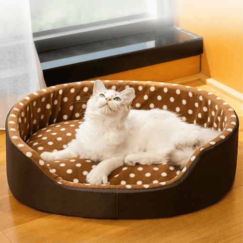 Punkte - Katzenbett – Weiches Haustierbett mit Kissen, ideal für Katzen & kleine Hunde, gemütlicher Schlafplatz & modernes Design - fellfunk.de