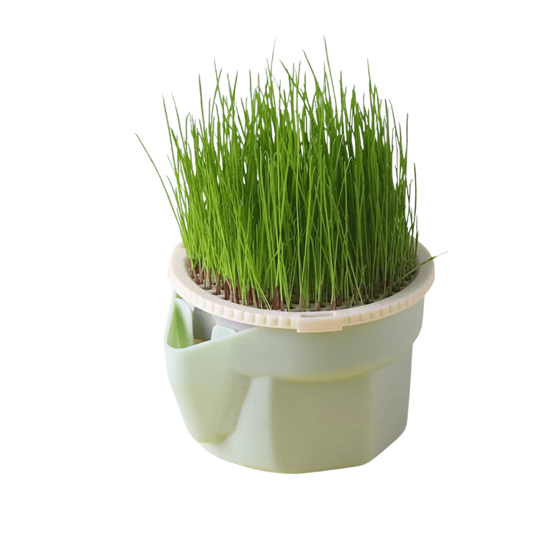 Fellfunk Katzengras - Cup – Mehrstufiger Anzuchtbehälter für frisches Katzengras ohne Erde – wiederverwendbar & perfekt für Wohnungskatzen - fellfunk.de