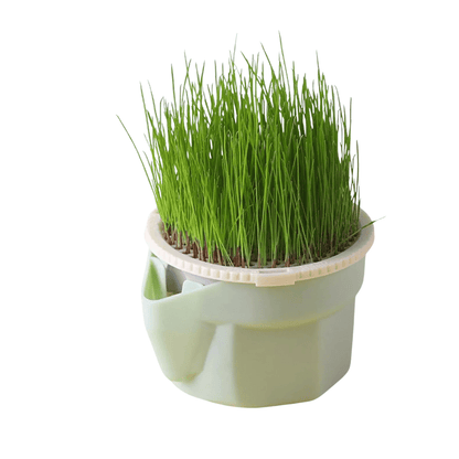 Fellfunk Katzengras - Cup – Mehrstufiger Anzuchtbehälter für frisches Katzengras ohne Erde – wiederverwendbar & perfekt für Wohnungskatzen - fellfunk.de