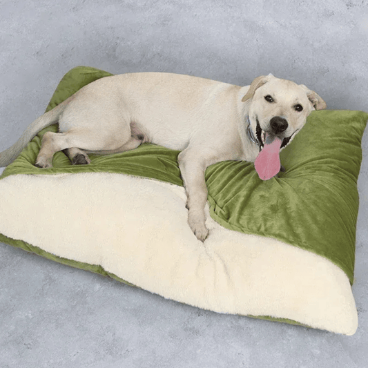 Hundebett Winter – Weiches, waschbares Sofa mit abnehmbarem Kissen & Anti - Biss Design - fellfunk.de