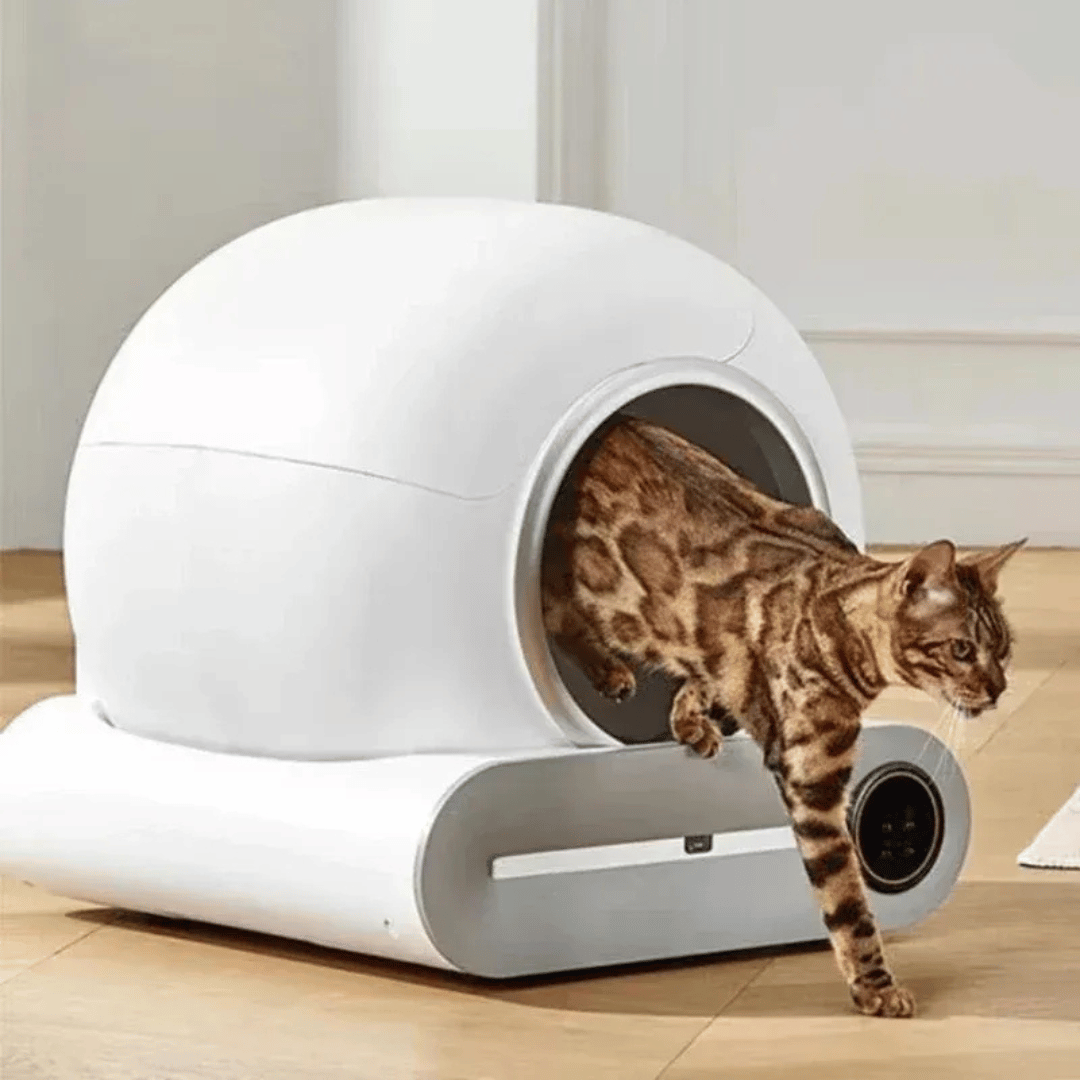 Intelligente Katzentoilette – Vollautomatische, halboffene Smart Litter Box mit App - fellfunk.de