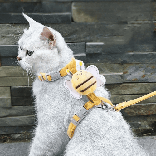 Katzen-Geschirr Set – Verstellbares Geschirr mit Leine & Halsband bequem & sicher für Spaziergänge