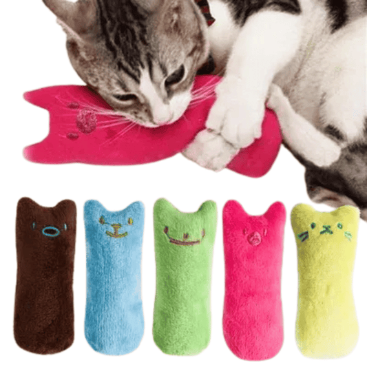 Katzenminze-Spielzeug – Lustiges Plüsch-Kauspielzeug mit Catnip für Katzen & Kitten