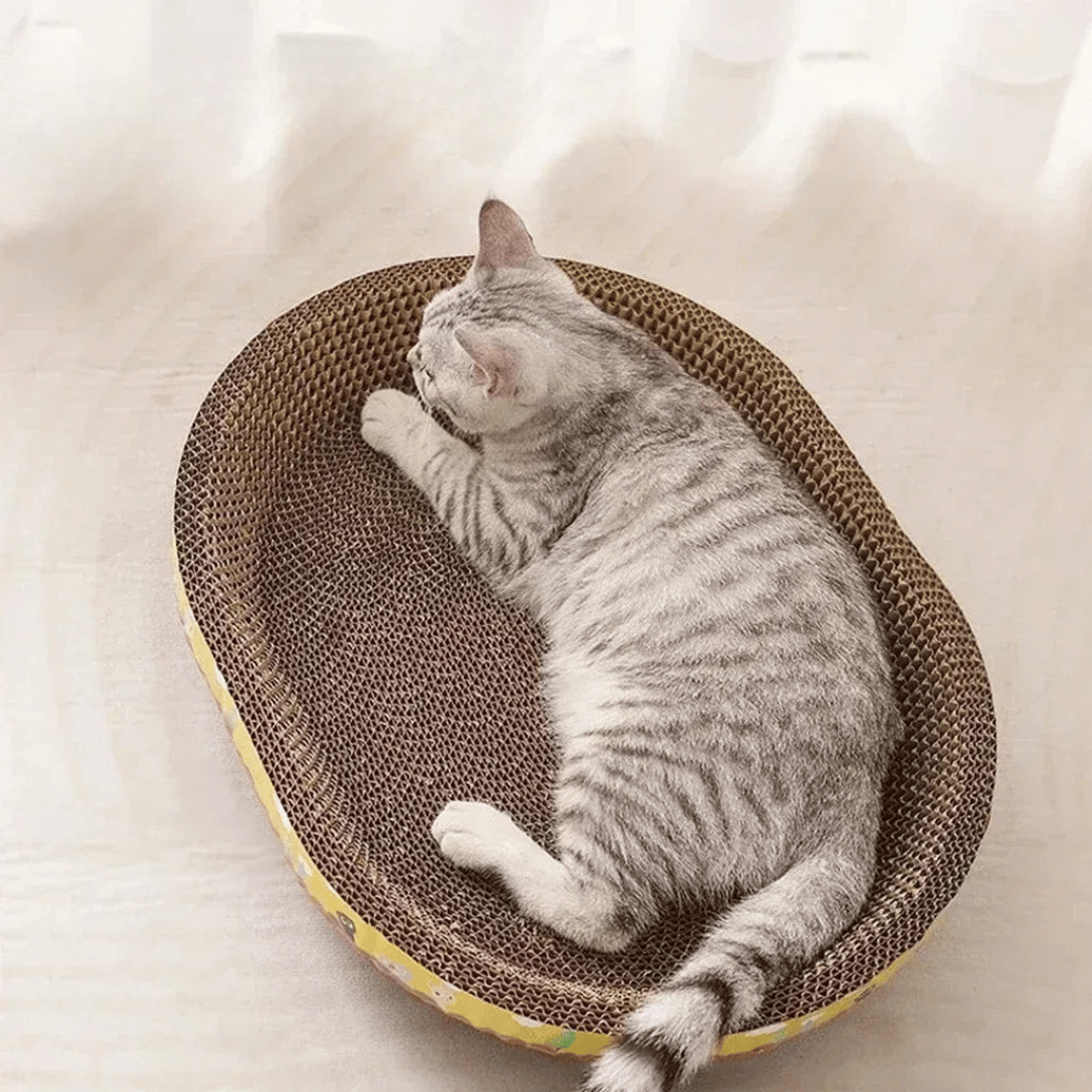 Ovales Kratzbrett – Robuste Kratzschale aus Wellpappe, schützt Möbel & dient als Kratznest für Katzen zum Spielen & Schlafen - fellfunk.de