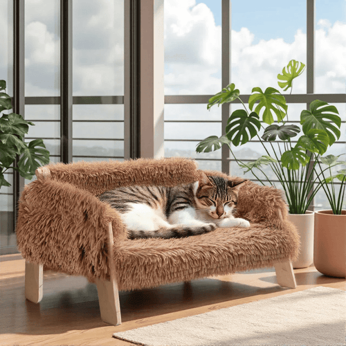 Katzen - Sofa – Erhöhtes Plüschbett mit stabilen Holzfüßen, weich & bequem für Wohnungskatzen, ideal zum Schlafen & Entspannen - fellfunk.de