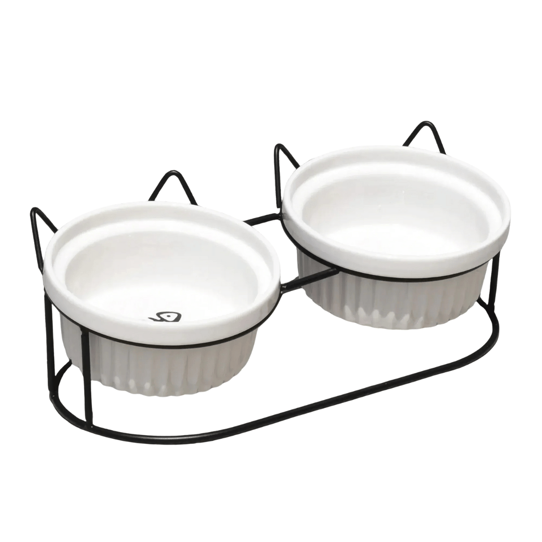 FellFunk Erhöhte Keramik - Katzenschale – 15° geneigter Napf für Futter & Wasser, anti - Erbrechen & ergonomisch - fellfunk.de