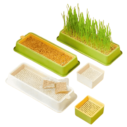 Fellfunk Katzengras - Set – Mehrlagige Keimschale für einfache, saubere Anzucht ohne Erde – ideal für frisches Gras & gesunde Stubentiger - fellfunk.de