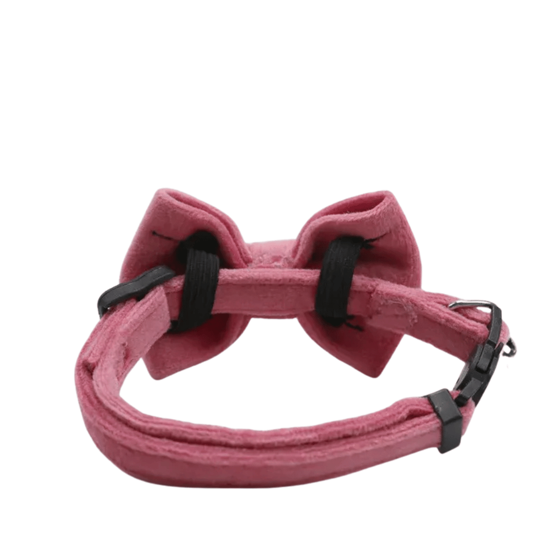 Fellfunk Samt - Halsband mit Schleife – Verstellbares Katzenhalsband mit Sicherheitsverschluss & Glöckchen für stilvolle Stubentiger - fellfunk.de