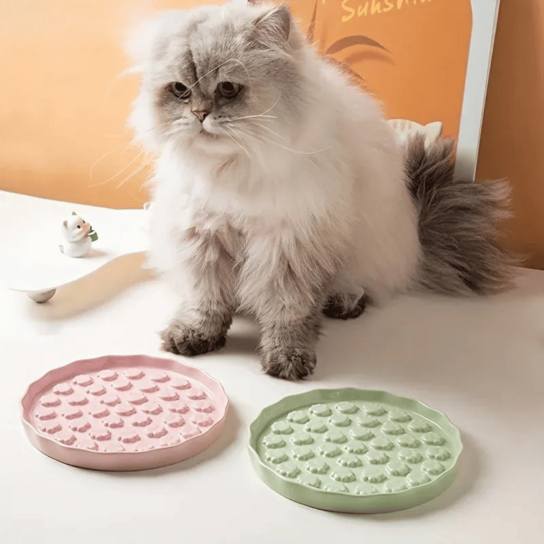 Slow Feed Pfoten Keramiknapf für Katzen & kleine Hunde - gesundes Fressen, bessere Verdauung