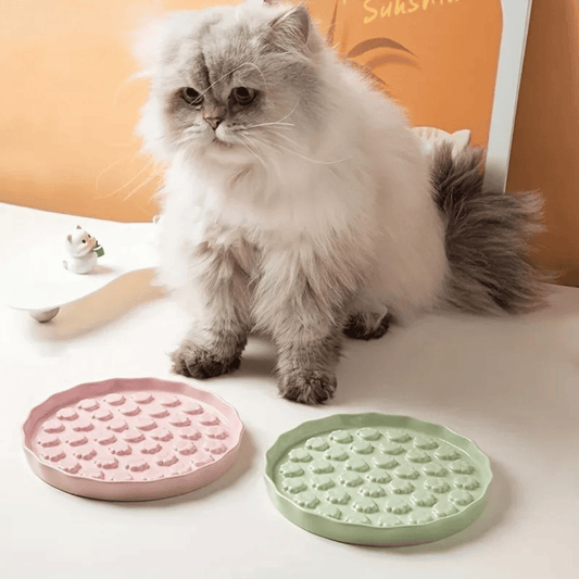 Slow Feed Pfoten Keramiknapf für Katzen & kleine Hunde - gesundes Fressen, bessere Verdauung