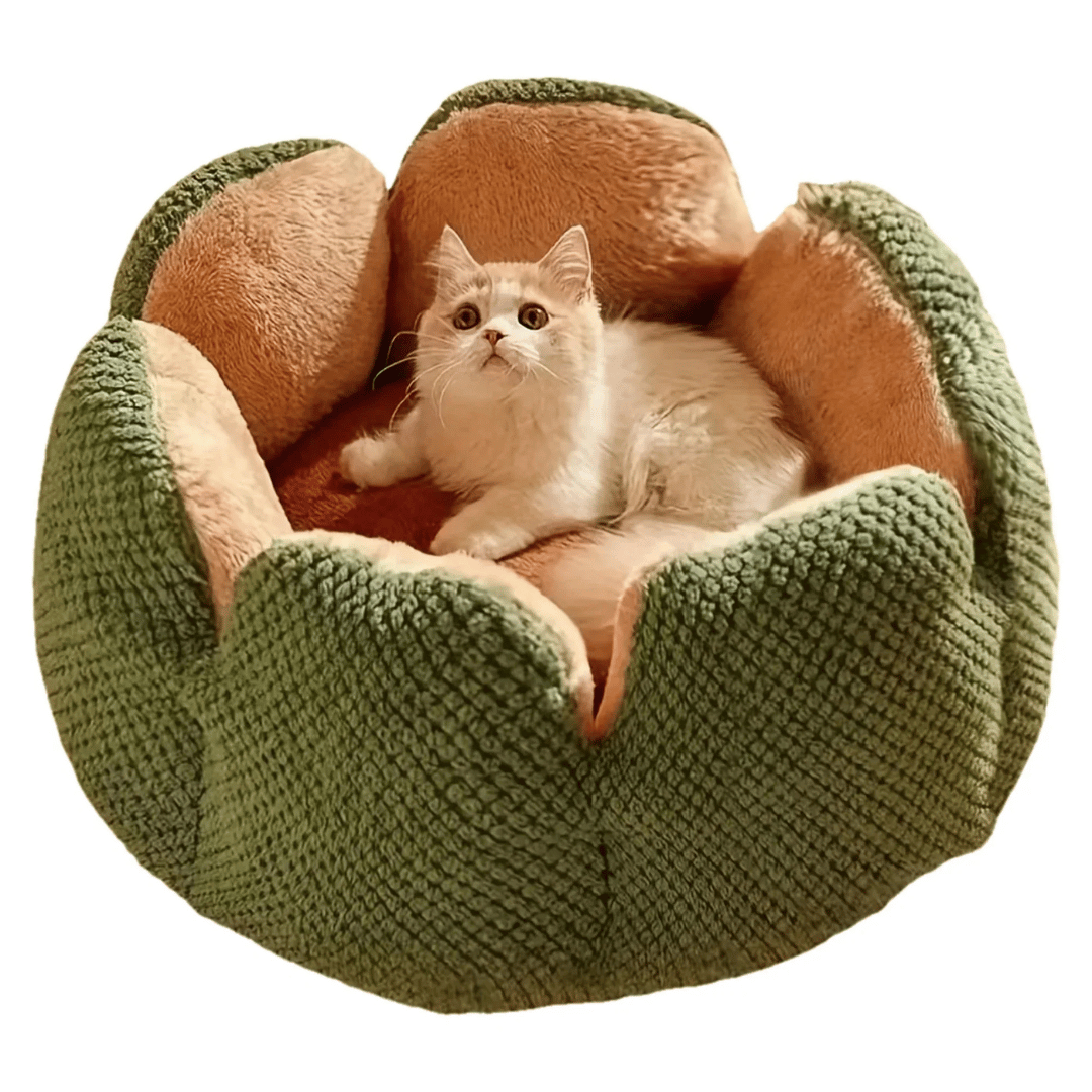 Kuscheliges Blütenbett für Katzen & kleine Hunde - perfekt für den Winter - fellfunk.de