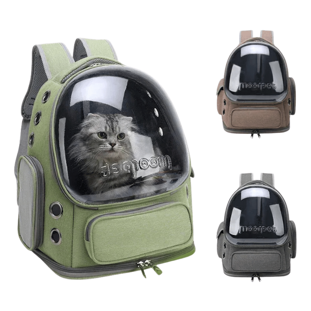 Katzenrucksack Transparent – Belüftete Reisetasche für Katzen & kleine Haustiere - fellfunk.de