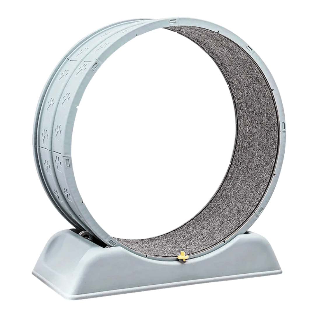 Fellfunk FitWheel – Laufband für Katzen & kleine Hunde zur spielerischen Bewegung & Auslastung im Haus - fellfunk.de