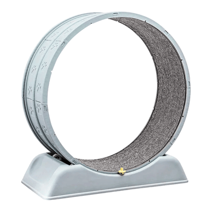 Fellfunk FitWheel – Laufband für Katzen & kleine Hunde zur spielerischen Bewegung & Auslastung im Haus - fellfunk.de