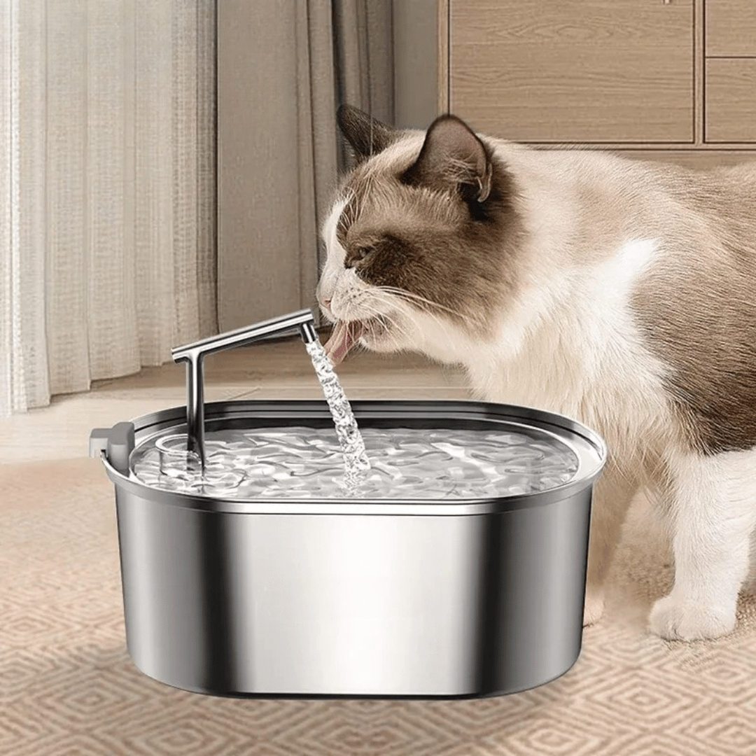 Edelstahl - Katzenbrunnen – Automatischer Trinkbrunnen für Katzen & Hunde, leise, hygienisch & mit Filter für frisches, sauberes Wasser - fellfunk.de