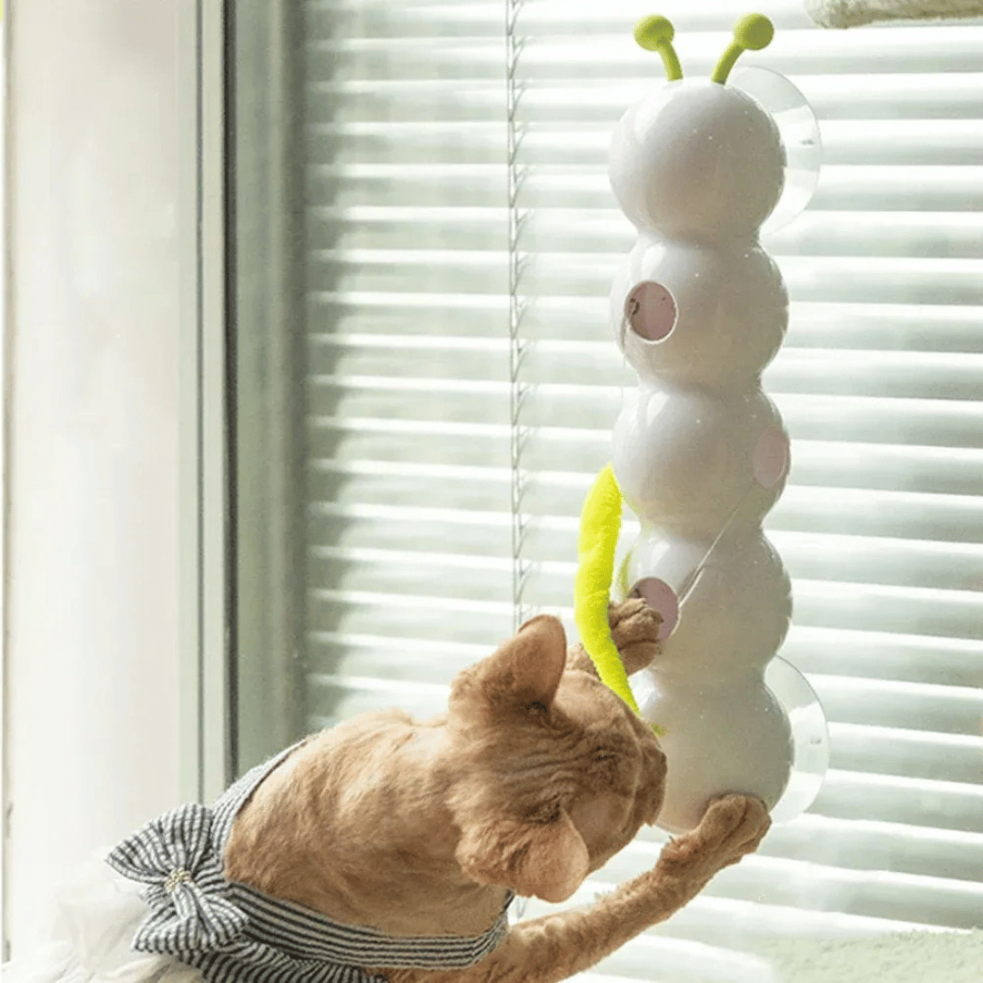 Cat Stick Pro – Intelligente Katzenangel mit austauschbarem Beute - Schwanz, automatisch schwingend & ideal für Mehrkatzen - Haushalte - fellfunk.de