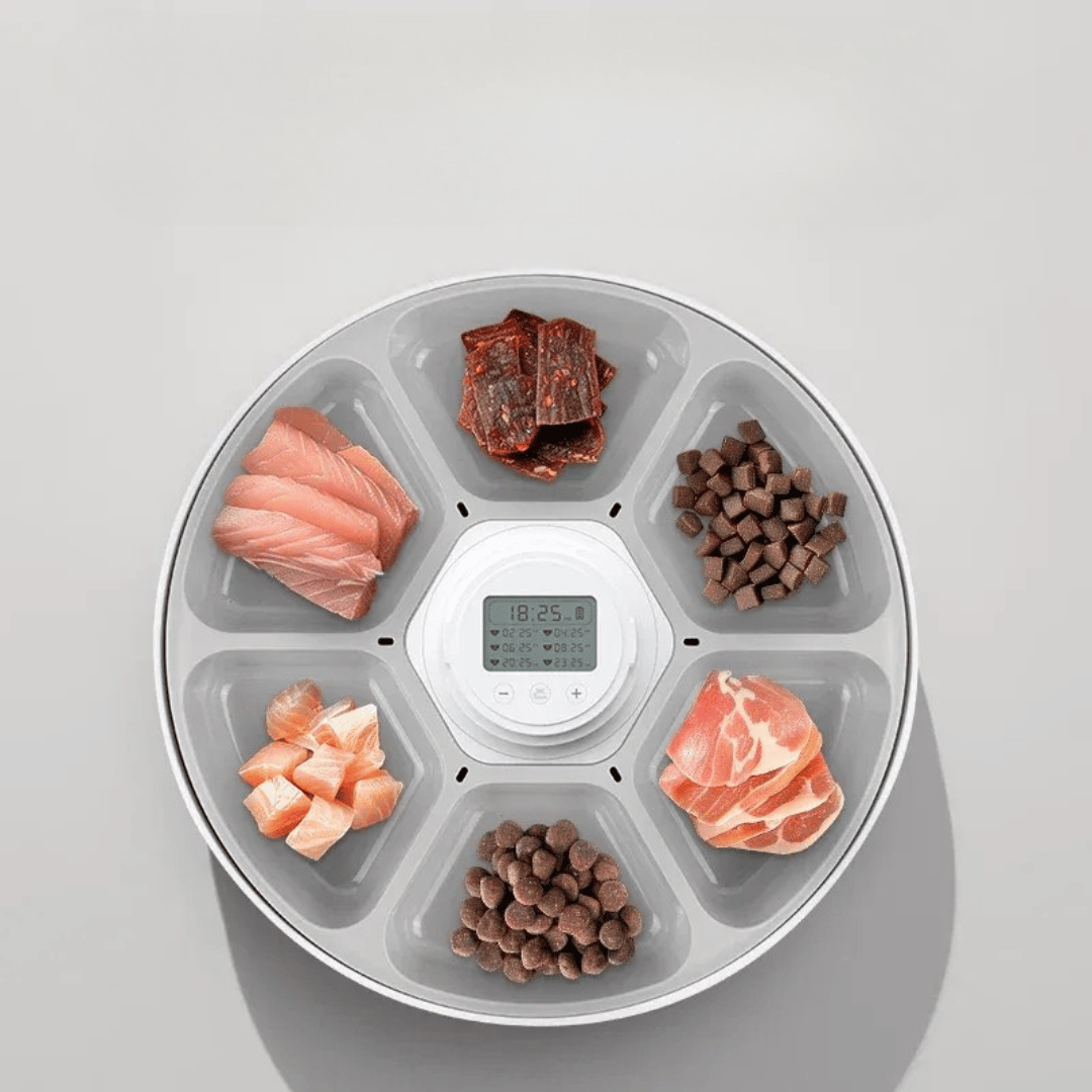 Smart Futterautomat – Kabelloser 6 - Mahlzeiten - Automat für Katzen & Hunde, für Nass - & Trockenfutter, planbare Fütterung & Portionen - fellfunk.de