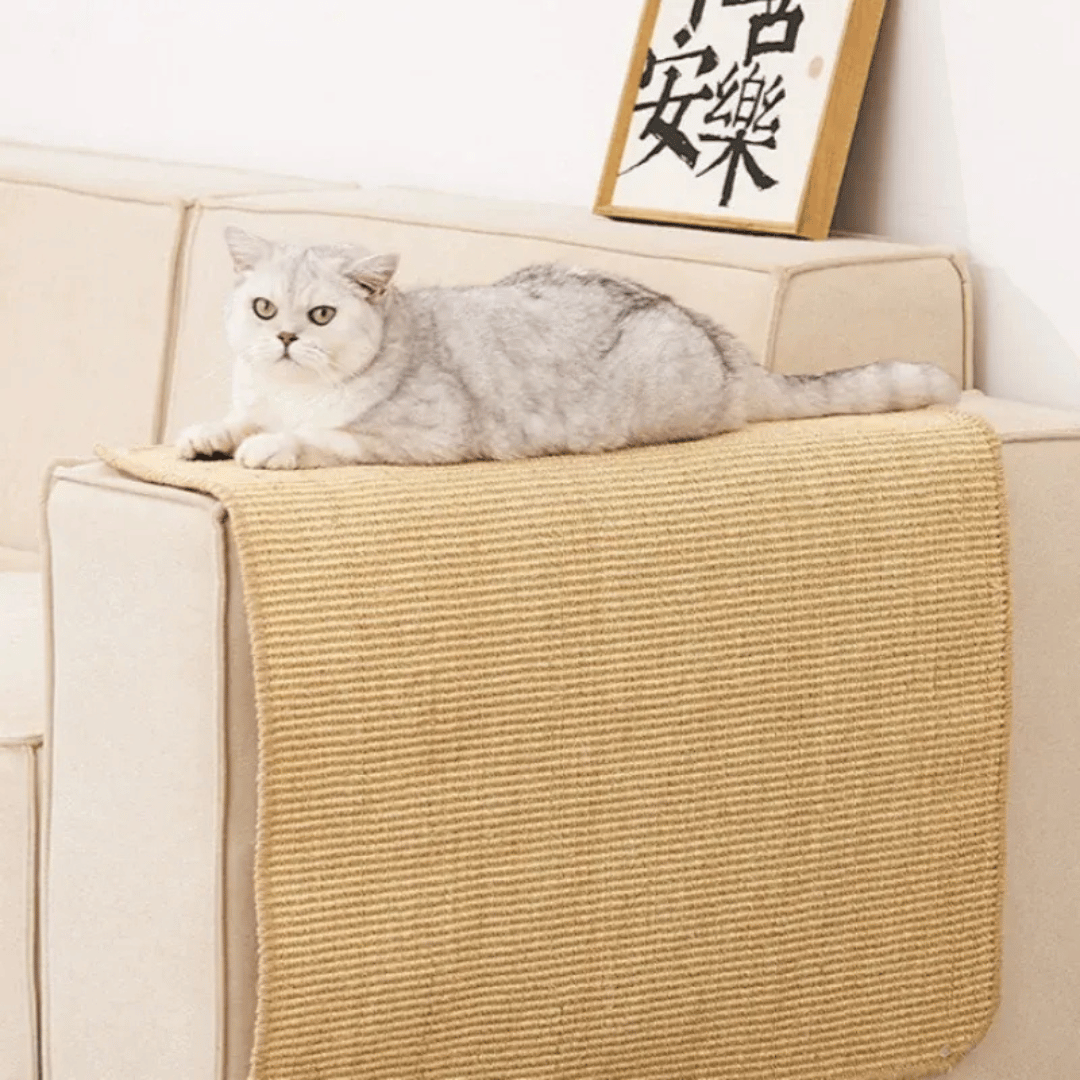 Wand - Kratzbrett – Robustes Sisalbrett für Katzen zur Krallenpflege & Möbel - Schutz, einfach montierbar & ideal für aktives Training - fellfunk.de