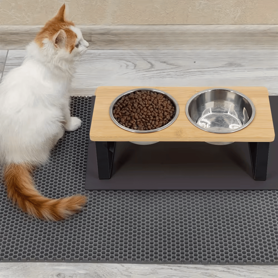 Fellfunk FutterSet Hoch – 15° geneigte Näpfe mit Holzständer für Katzen & kleine Hunde - fellfunk.de