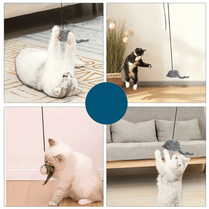 Türspielzeug – Hängendes Katzenspielzeug für Türrahmen, ideal zum Krallenwetzen, Springen & Stressabbau, sorgt für aktive Stubentiger - fellfunk.de