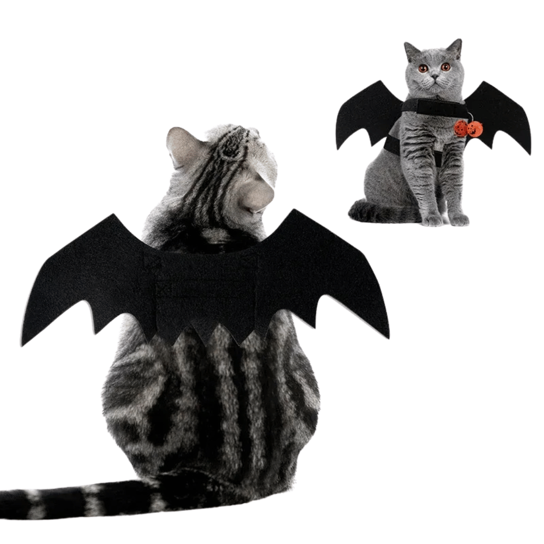 Fellfunk Fledermaus - Kostüm – Lustige Katzenflügel für Halloween & Weihnachten, leicht & bequem für Katzen & kleine Hunde - fellfunk.de
