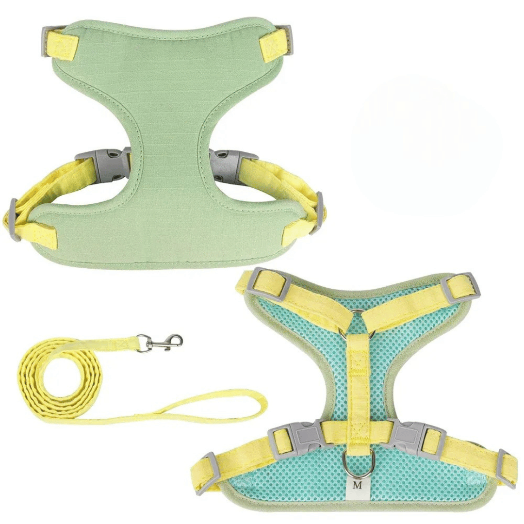 Fellfunk EasyStep Harness für Katzen & kleine Hunde – Flexibles Leinen - Geschirr - Set für Outdoor - Walks mit Sicherheitsverschluss - fellfunk.de