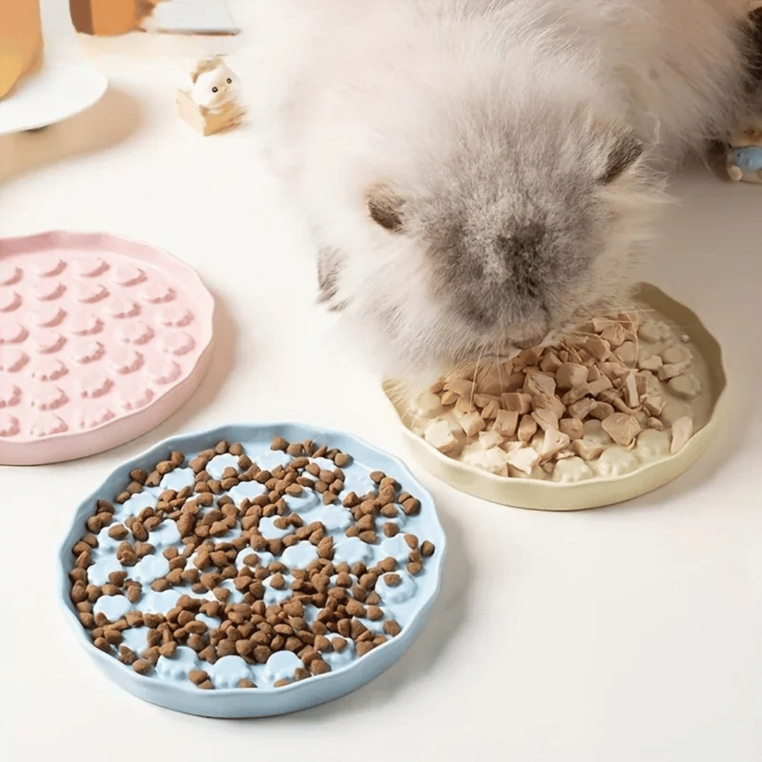 Slow Feed Pfoten Keramiknapf für Katzen & kleine Hunde - gesundes Fressen, bessere Verdauung