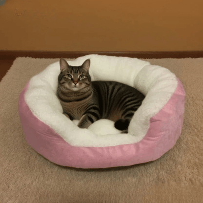 Orthopädisches Plüschbett – Weiches Haustierbett mit Rückenlehne für Katzen & kleine Hunde, ganzjährig bequem & pflegeleicht - fellfunk.de