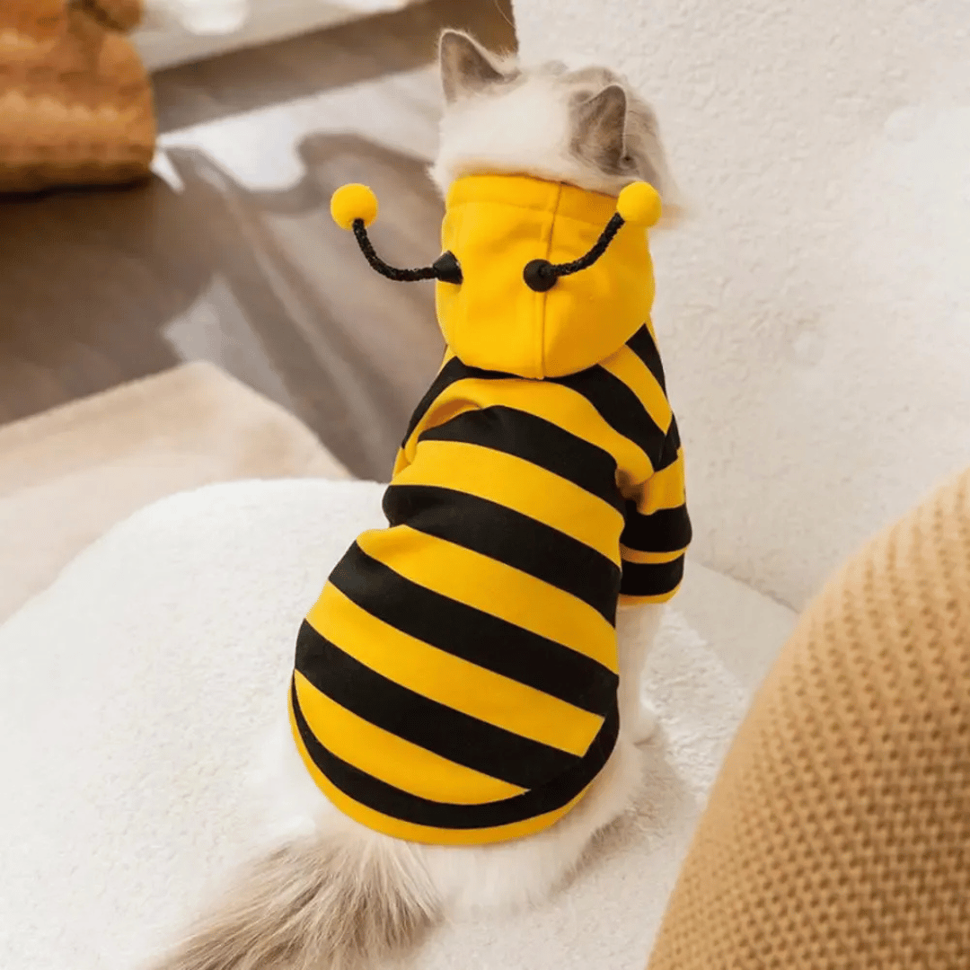 Fellfunk Bienen - Kostüm – Süßer Hoodie für Katzen & kleine Hunde, ideal für Halloween, Winter & Feiertage – warm & bequem - fellfunk.de