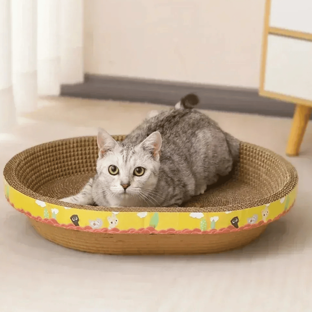Ovales Kratzbrett – Robuste Kratzschale aus Wellpappe, schützt Möbel & dient als Kratznest für Katzen zum Spielen & Schlafen - fellfunk.de