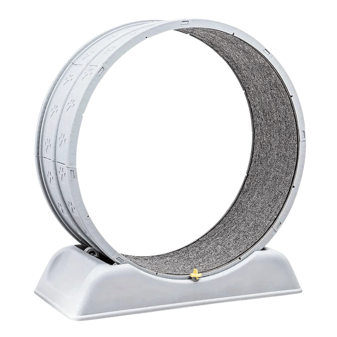 Fellfunk FitWheel – Laufband für Katzen & kleine Hunde zur spielerischen Bewegung & Auslastung im Haus - fellfunk.de