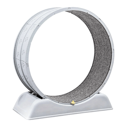 Fellfunk FitWheel – Laufband für Katzen & kleine Hunde zur spielerischen Bewegung & Auslastung im Haus - fellfunk.de