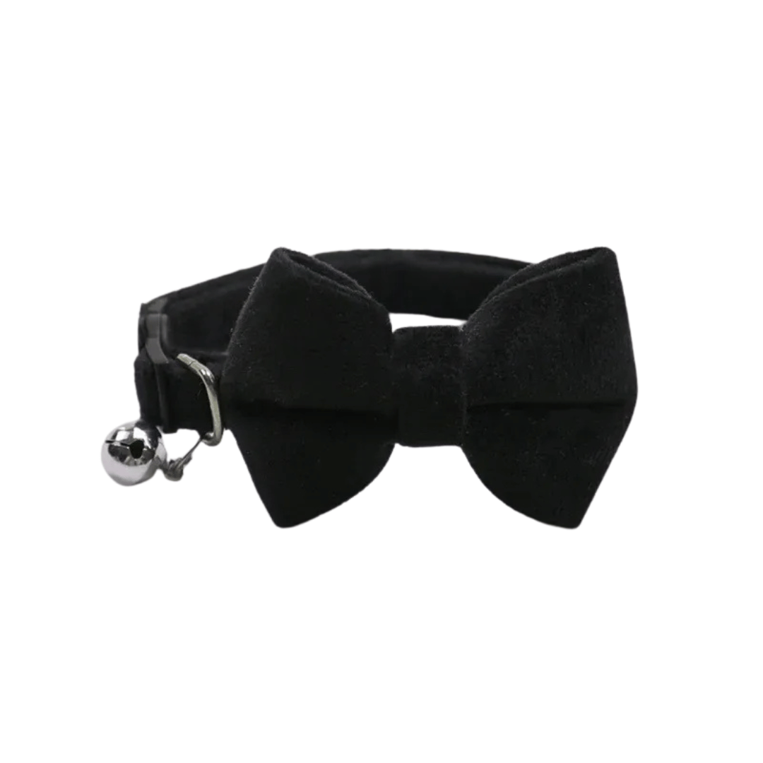 Fellfunk Samt - Halsband mit Schleife – Verstellbares Katzenhalsband mit Sicherheitsverschluss & Glöckchen für stilvolle Stubentiger - fellfunk.de