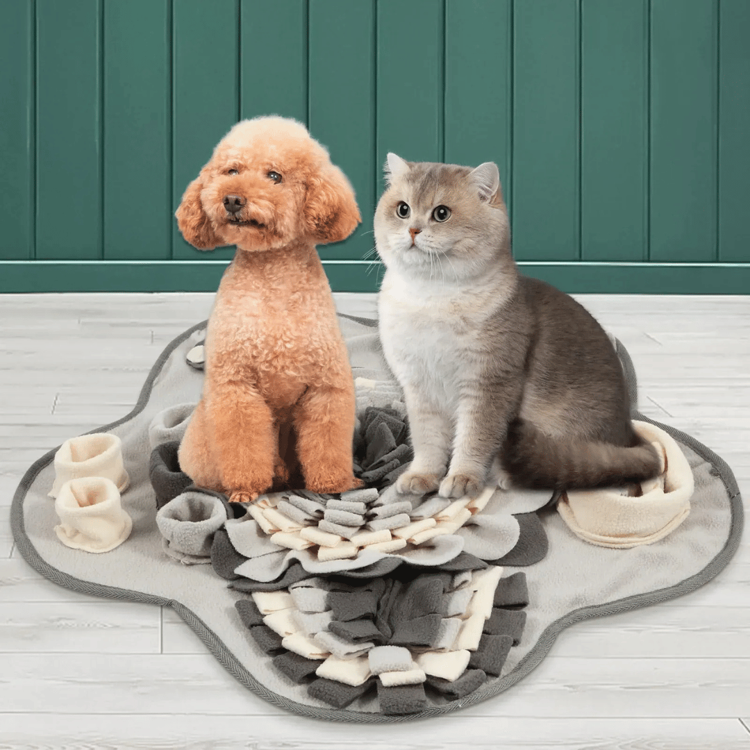 Schnüffelteppich für Hunde – Interaktive Trainingsmatte mit Quietschi & Leckerli - Verstecken - fellfunk.de