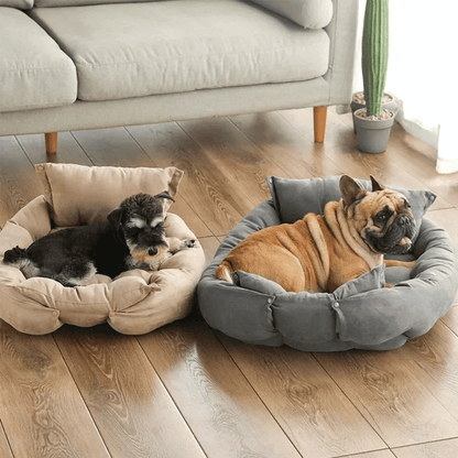 Weiches 3 - in - 1 Hundebett – Warme Schlafmatte & Sofa für Welpen & Katzen im Winter - fellfunk.de