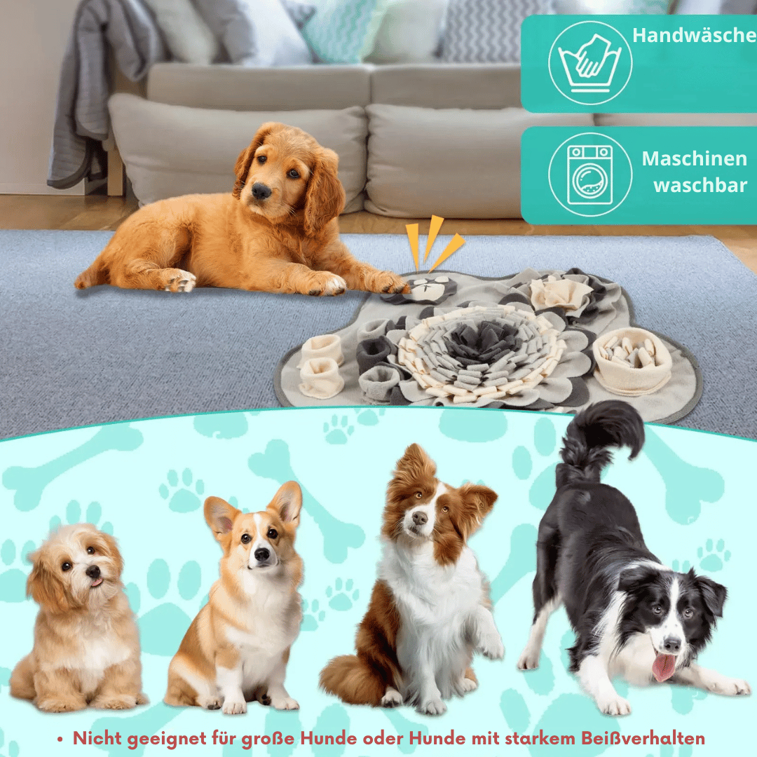 Schnüffelteppich für Hunde – Interaktive Trainingsmatte mit Quietschi & Leckerli - Verstecken - fellfunk.de