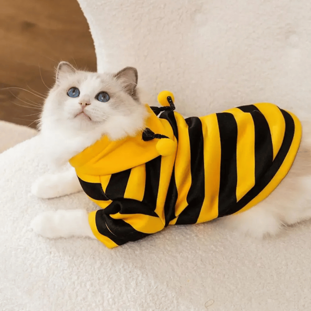 Fellfunk Bienen - Kostüm – Süßer Hoodie für Katzen & kleine Hunde, ideal für Halloween, Winter & Feiertage – warm & bequem - fellfunk.de