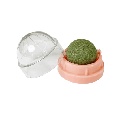 Fellfunk CatnipBall – Selbsthaftender Katzenminze - Wandball zur Förderung der Verdauung & Aktivierung, gesunder Snack & Spielzeug - fellfunk.de