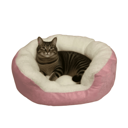 Orthopädisches Plüschbett mit Rückenlehne – Gelenkschonendes Haustiersofa für Katzen & Hunde - fellfunk.de