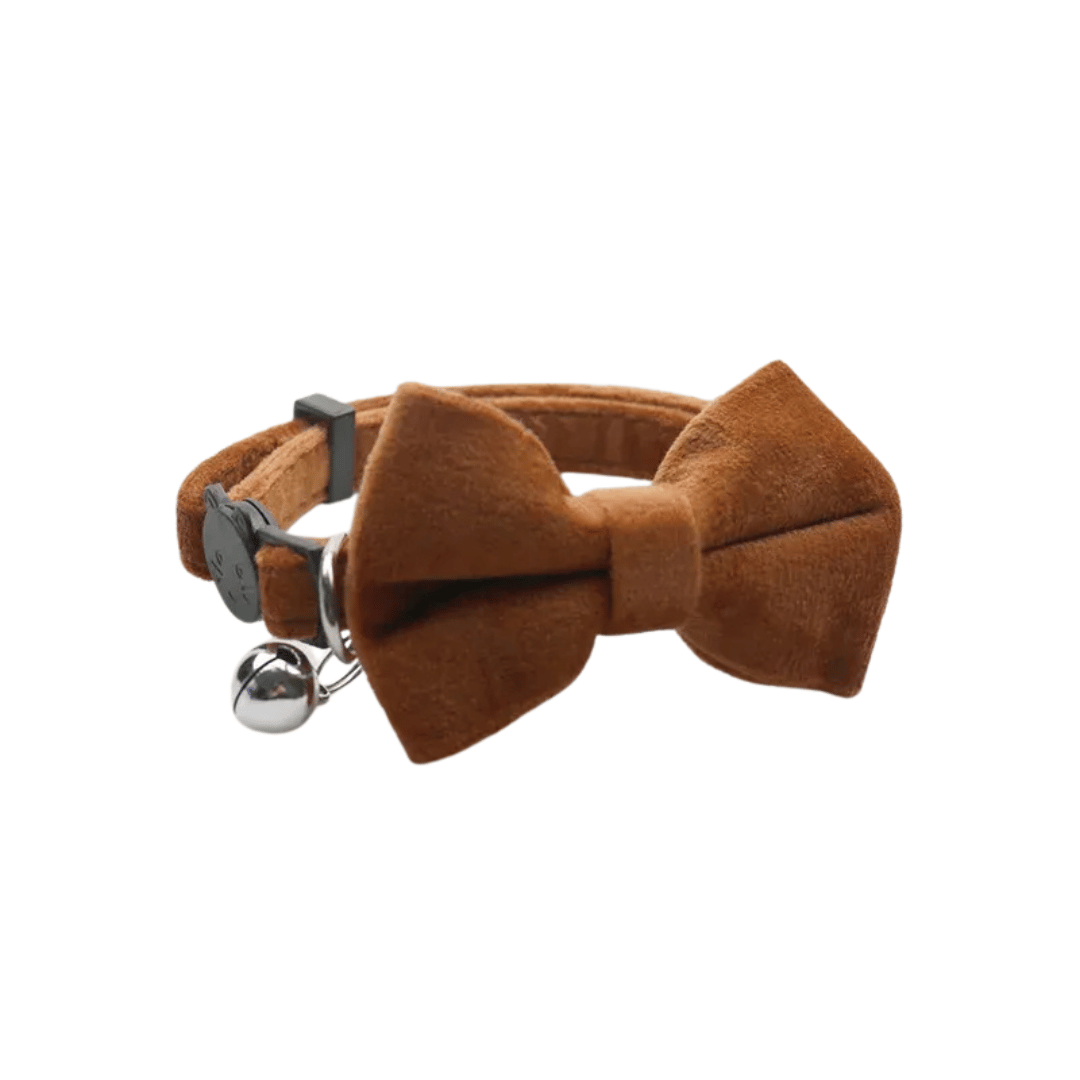 Fellfunk Samt - Halsband mit Schleife – Verstellbares Katzenhalsband mit Sicherheitsverschluss & Glöckchen für stilvolle Stubentiger - fellfunk.de