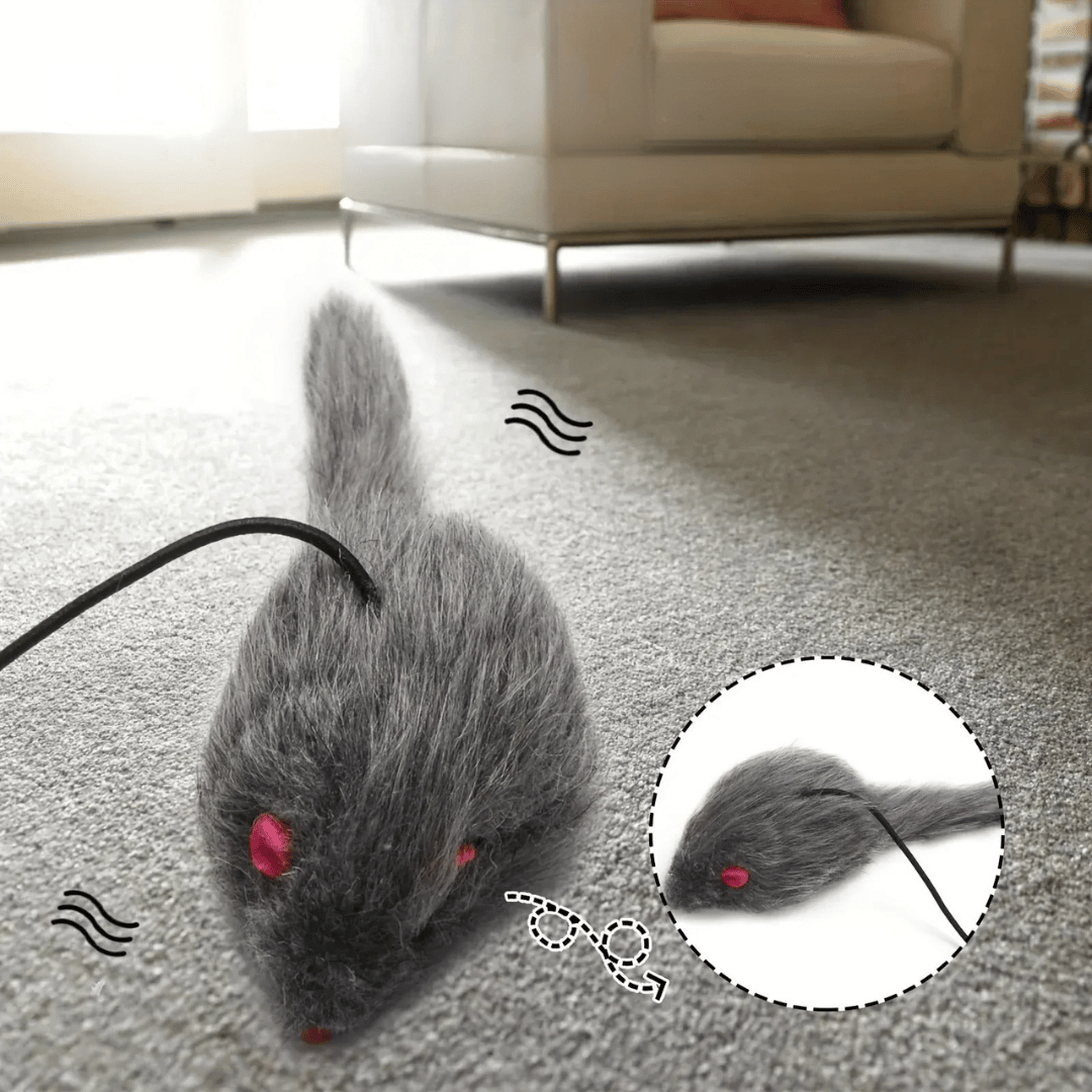 Türspielzeug – Hängendes Katzenspielzeug für Türrahmen, ideal zum Krallenwetzen, Springen & Stressabbau, sorgt für aktive Stubentiger - fellfunk.de